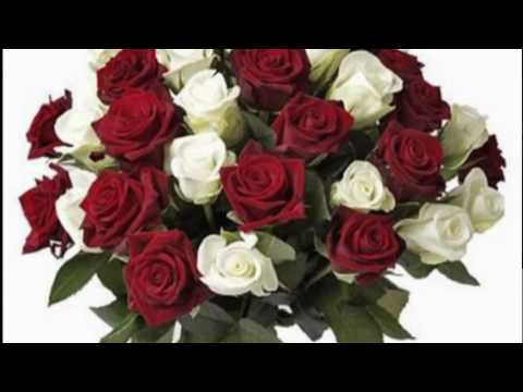 download lagu mp3 mp4 Henry Crespo Dos Rosas Pista, download lagu Henry Crespo Dos Rosas Pista gratis, unduh video klip Download Henry Crespo Dos Rosas Pista Mp3 dan Mp4 Full Gratis