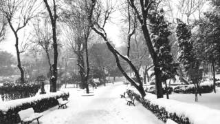 Evgeny Grinko - Field