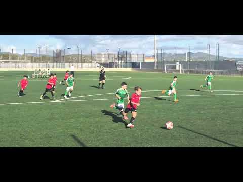 Porto cristo / escolar