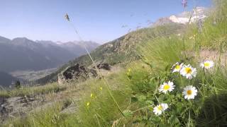 Trail tour des glaciers de la Vanoise 2015 (TGV)