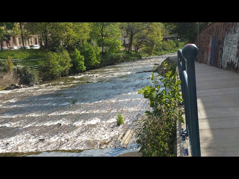 An der Dreisam in Freiburg
