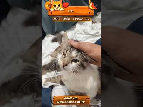 Vídeo de Loki