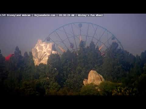 Live webcam of Disneyland Cam