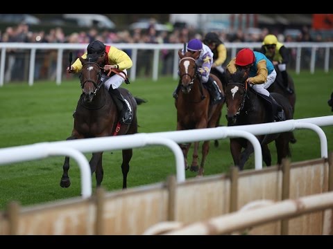 Hannover: Preis der Pferdetransporteure (D) - Siegerin: Vive Marie