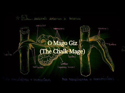 Carlos Estevão Simonka : The Chalk Mage