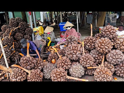 Must Try Before You Die! Best Tropical Fruits Collection