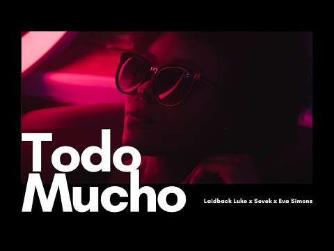Todo Mucho  - RONI JONI (Edit)
