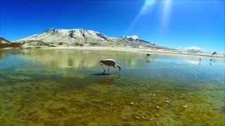 Deux AIT en Amérique du Sud