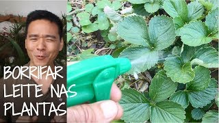 Miniatura do vídeo