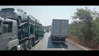 BR  251 Minas gerais Animais de grande porte na margem da BR Muito cuidado
