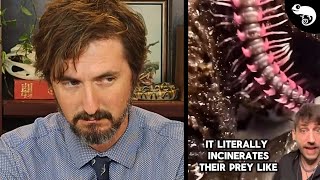Zoologist Reacts to TERRIBLE (and Terribly Viral) Animal Videos