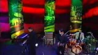 GALLON DRUNK- YOU SHOULD BE ASHAMED