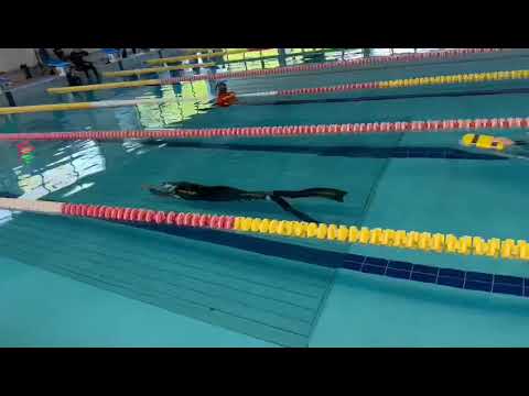 Alberto Tomé DYNB 139,80 metri - II Trofeo Sporting Lodi