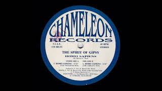 The Spirit Of Gipsy - Homo Sapiens (The Vibrant Mix) [CH 003-93]