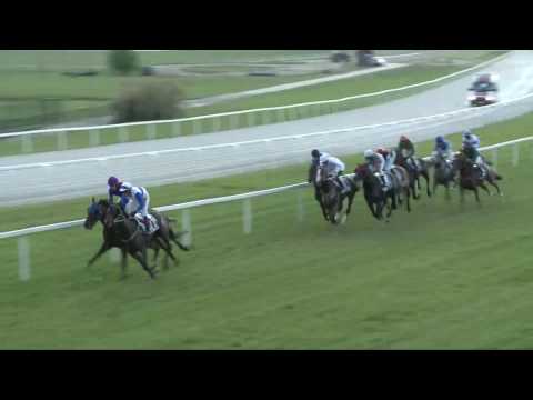 2017.06.03. 8. futam - IRISH THOROUGHBRED MARKETING - ALAGI DÍJ (HUN Gd-2)