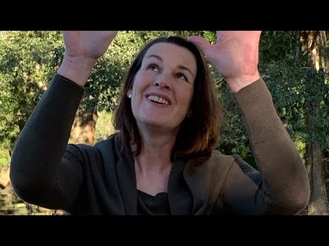 CAIN - “Wonderful” sign language