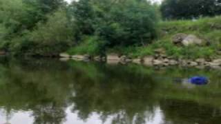 preview picture of video 'Fishing on the River Swale at Catterick'