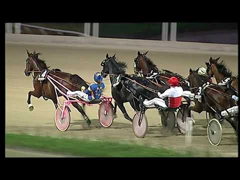 Napoli Trotto 19/11/2021 - 6ª corsa