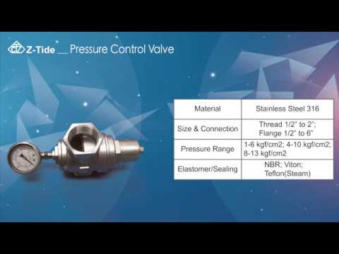 Direct Acting Pressure Reducing Regulator Valve