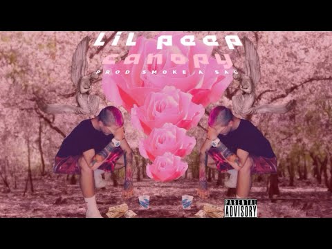 Lil Peep - Damn/DownDownDown (Full CDQ)