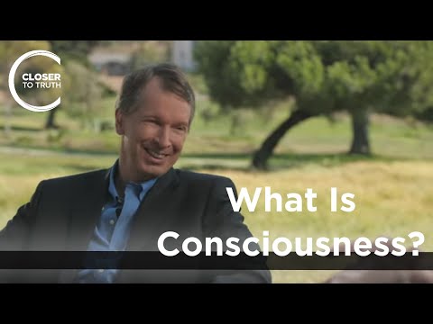 Donald Hoffman - What is Consciousness?