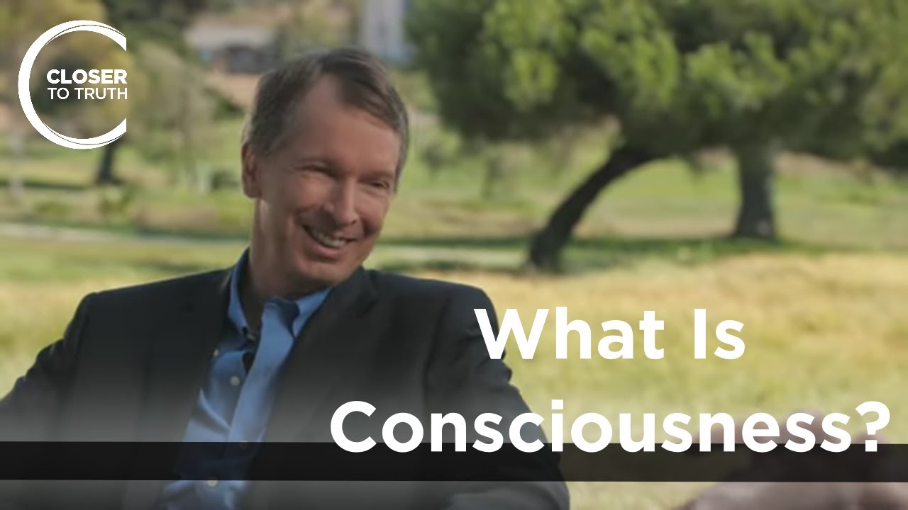 Donald Hoffman - What is Consciousness?