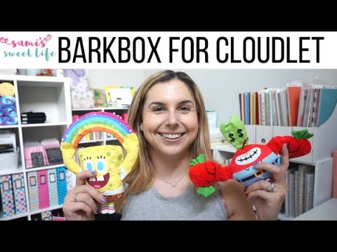 Spongebob Barkbox