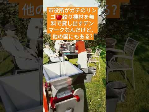 園芸 リンゴの木(リンゴ)