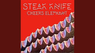 Steak Knife