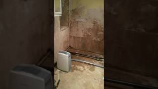 Album cover: "Regal Vanilla" Polished Porcelain - Bathroom Renovation in Bayswater.