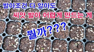 발아조건 다 알아도 씨앗 발아 어렵게 만드는 게 뭘까? (씨앗, 종자, 씨앗 파종, 씨앗 심기, 발아, 발아…