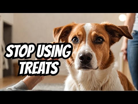Saro Dog Training video.