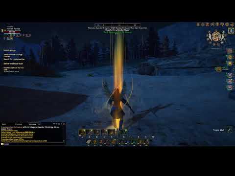 Shroud of the Avatar - Bard Build - Razorback Destroyers