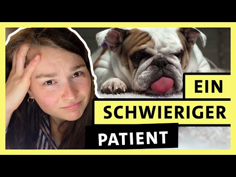 Tiermedizin studieren: Hannas langer Weg zum Traumjob | alpha Uni