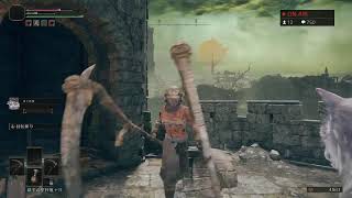 ELDEN RING エルデンリング　ゴドリック討伐から　part5