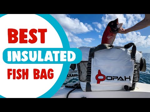 Best Insulated Fish Bag in 2021 – Preserve Your Fish Nicely!