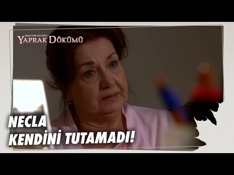 Necla, Hayriye'ye Sinirlendi! - Yaprak Dökümü Özel Bölüm
