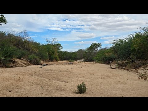 Sítio á venda em Parari-PB, medindo 180 hectares, Valor R$ 250.000,00.