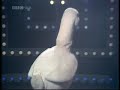 Disco Duck de Rick Dees & His Cast Of Idiots