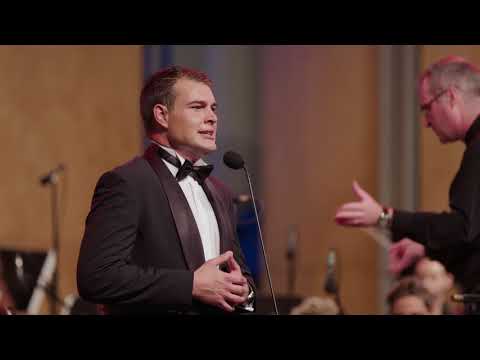 Cliff Zammit Stevens - Joseph Vella, Il-kebbies tal fanali.