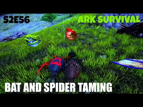Guide to Taming SPIDERS AND BATS | Tips and Game play | (E56) ARK: Survival Evolved