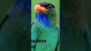 Download lagu MP3 MASTERAN TENGKEK BUTO SAMBUNG CILILIN mp3 Download lagu MP3 MASTERAN TENGKEK BUTO SAMBUNG CILILIN mp3