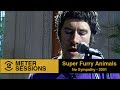 Super Furry Animals - No Sympathy (Live on 2 Meter Sessions, 2001)