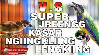 Download lagu MASTERAN UNTUK SEMUA BURUNG MEWAH - CUCAK CUNGKOK VS GEREJA GACOR GEREJA TUNGGAL JERNIH PANJANG mp3