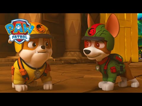 În căutare de aur! - PAW Patrol - Desene animate pentru copii