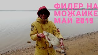 Можайское водохранилище отчеты о рыбалке 2019 красновидово