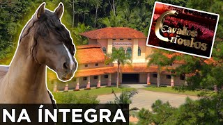 Miniatura do vídeo