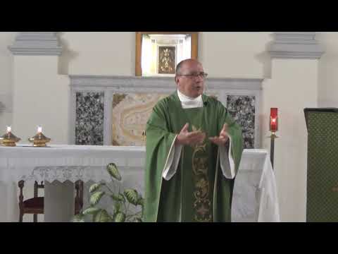 Homilía: Vivir en comunión