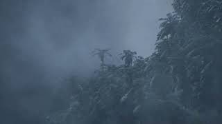 BASTA OUVIR POR MINUTOS E VAI DORMIR - BARULHO DE CHUVA PARA DORMIR #chuvaparadormir