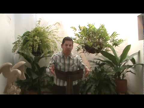 EVANGELIO DIARIO 10 DE AGOSTO 2011 - PARROQUIA LA SAGRADA FAMILIA